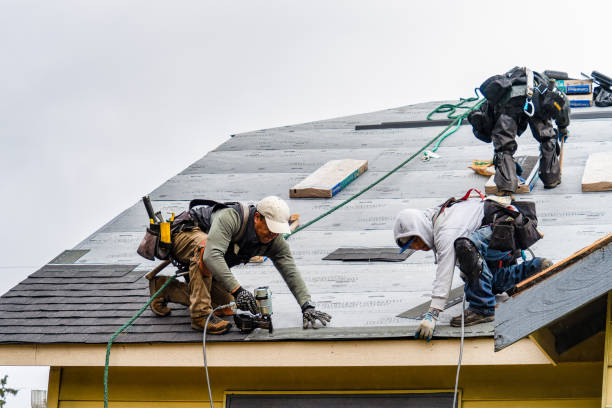 Professional Storm Damage Roof Repair technician working in Clarendon, NY